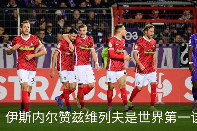 伊斯内尔赞兹维列夫是世界第一该有的样子，世界最好接发球员之一