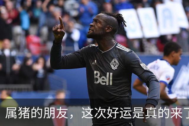 属猪的朋友，这次好运是真的来了